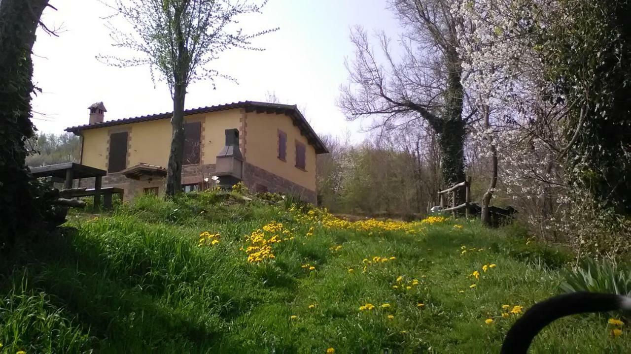 Ferienwohnung Il Gelso Rosso Comunanza Exterior foto
